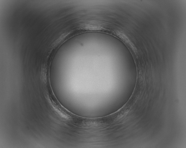 X0000073900533200608251500