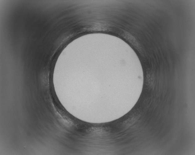 X0000073900534200608251500