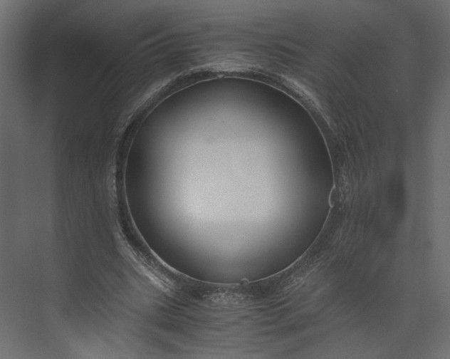 X0000073900535200608251500