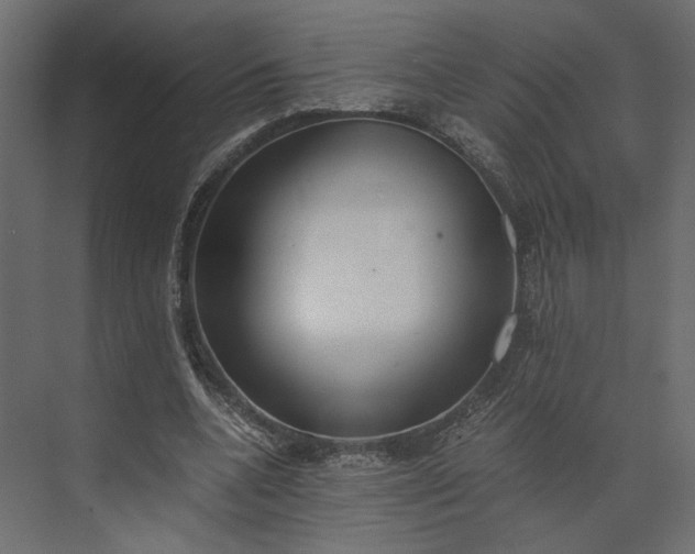 X0000073900536200608251500