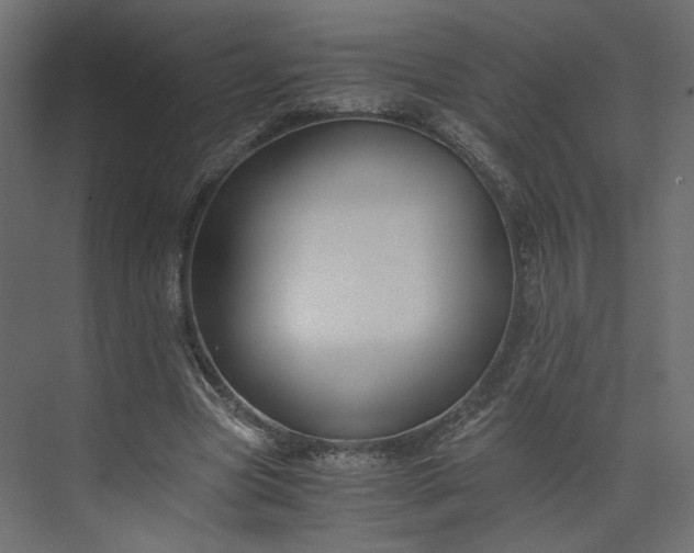 X0000073900537200608251500