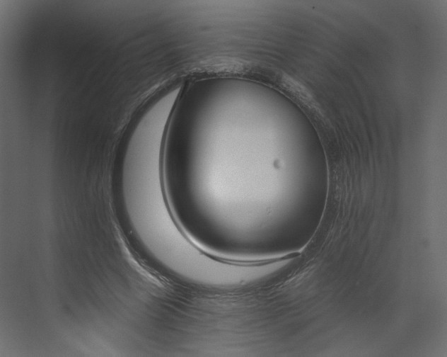 X0000073900538200608251500