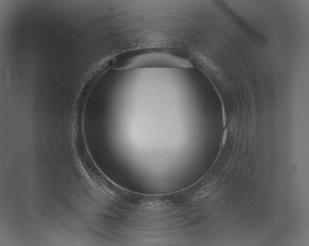 X0000073900540200608251500