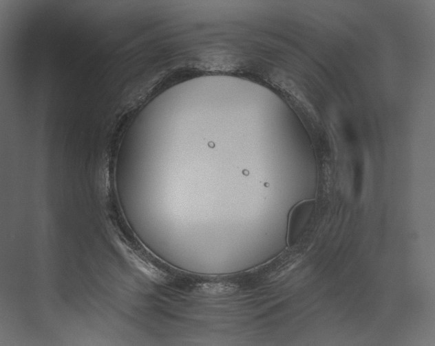 X0000073900541200608251500