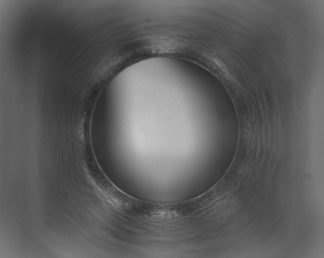 X0000073900543200608251500