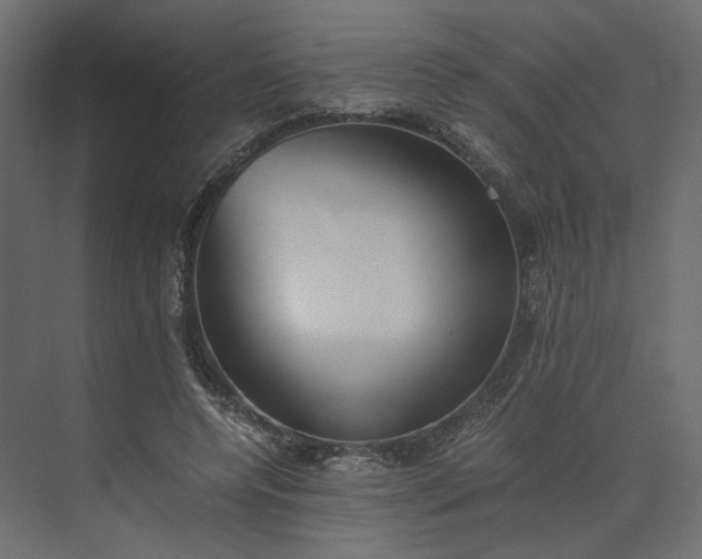 X0000073900544200608251500