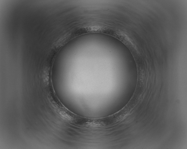 X0000073900545200608251500