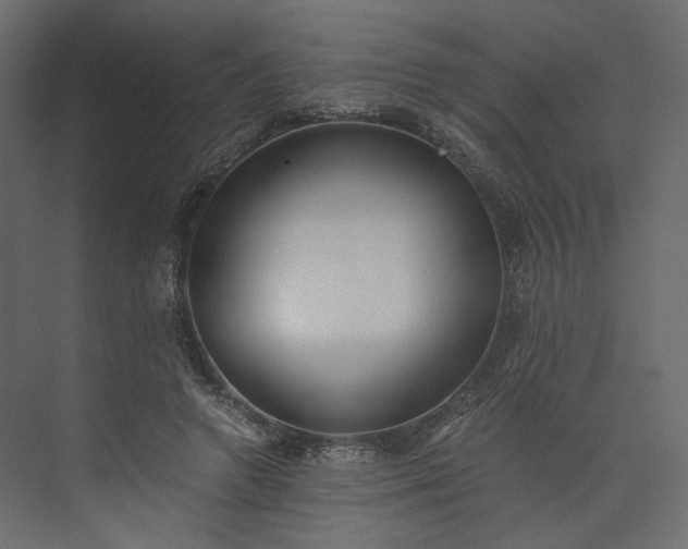 X0000073900546200608251500