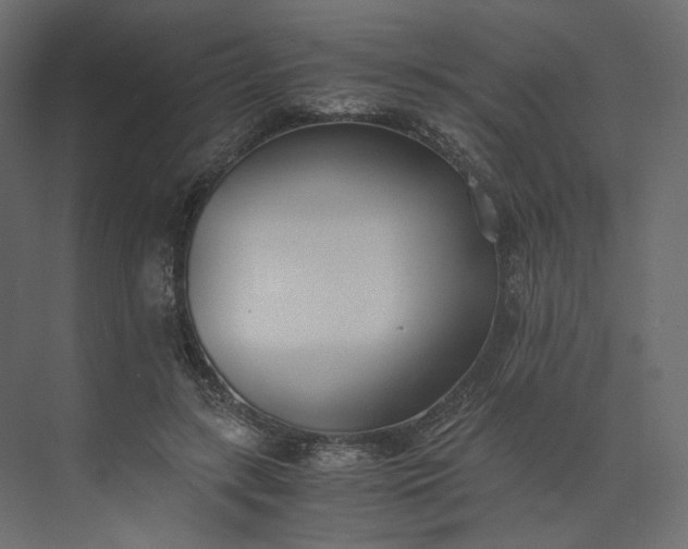 X0000073900547200608251500