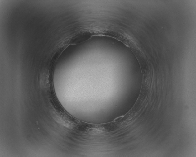 X0000073900548200608251500