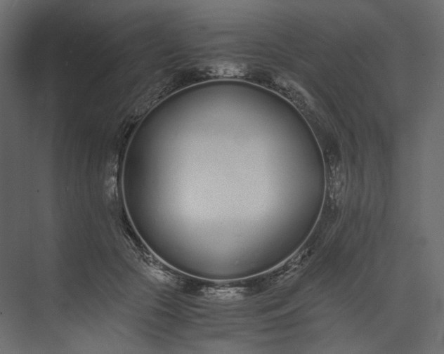 X0000073900553200608251500