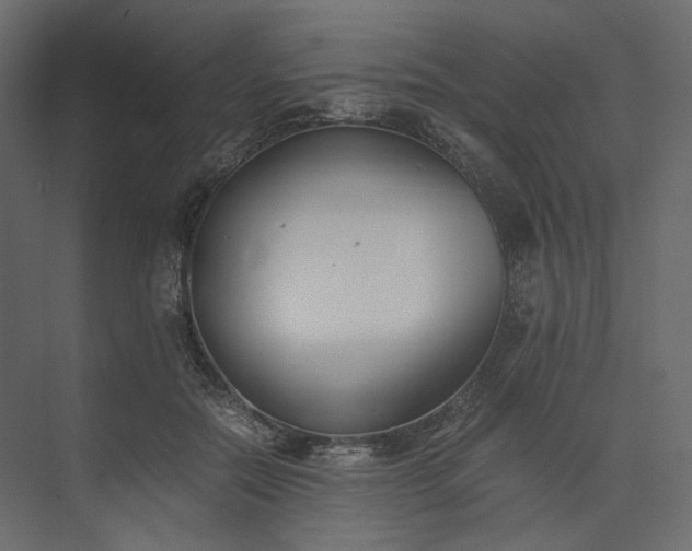 X0000073900554200608251500