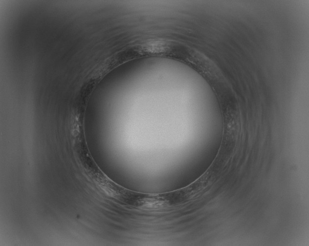 X0000073900555200608251500