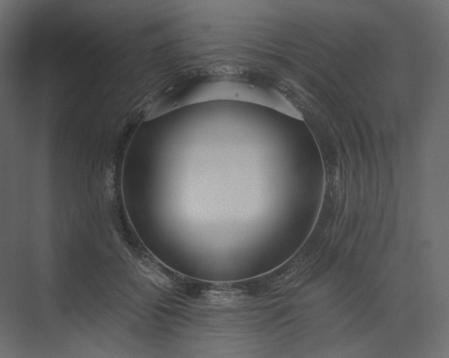 X0000073900556200608251500