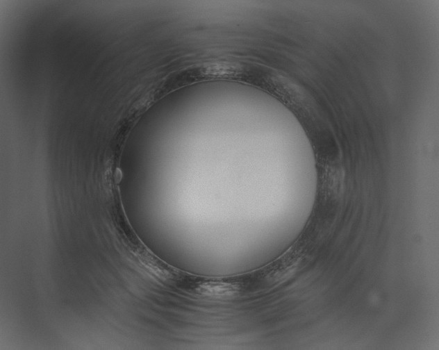 X0000073900557200608251500