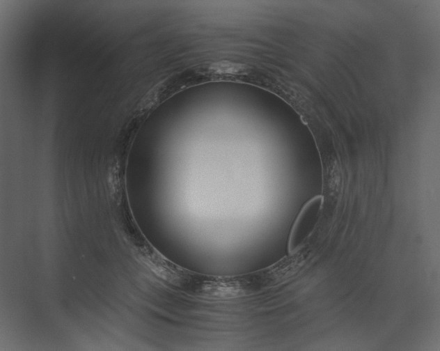 X0000073900559200608251500