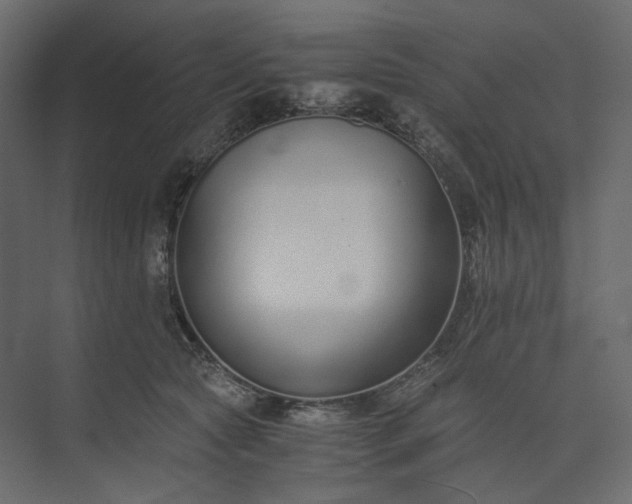 X0000073900561200608251500