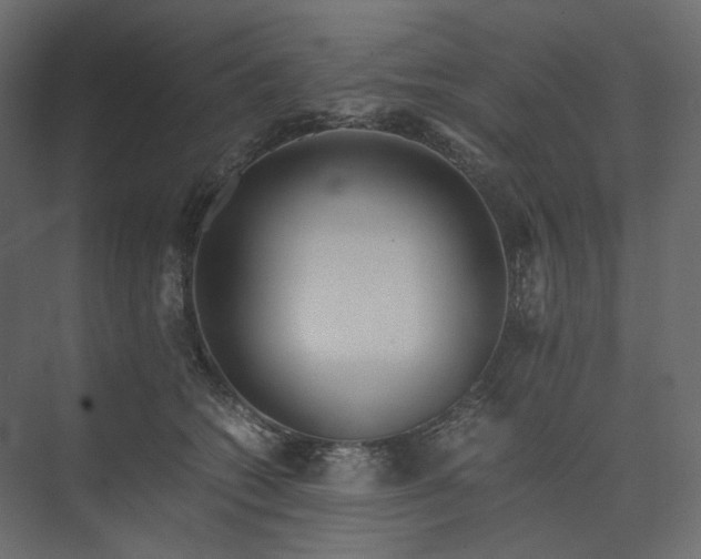 X0000073900562200608251500