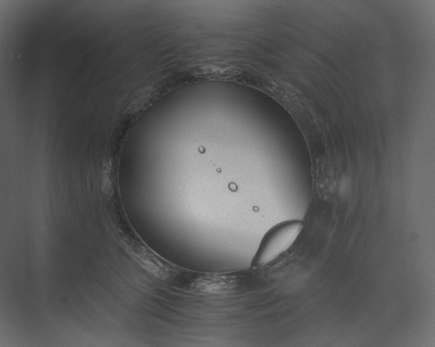 X0000073900563200608251500