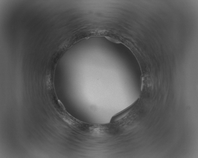 X0000073900564200608251500