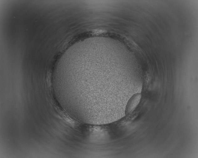 X0000073900565200608251500