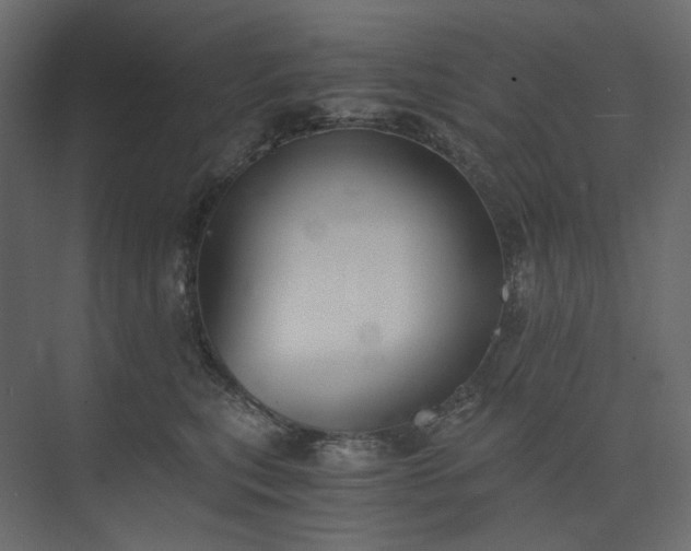 X0000073900567200608251500