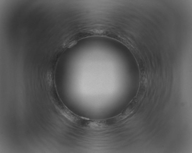 X0000073900568200608251500