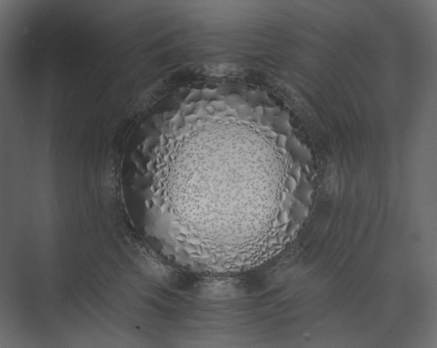 X0000073900569200608251500