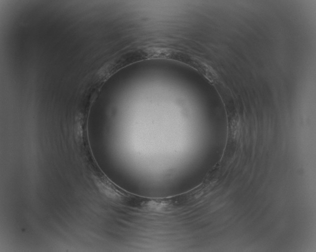 X0000073900570200608251500