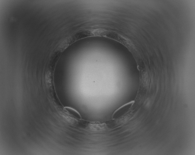 X0000073900571200608251500