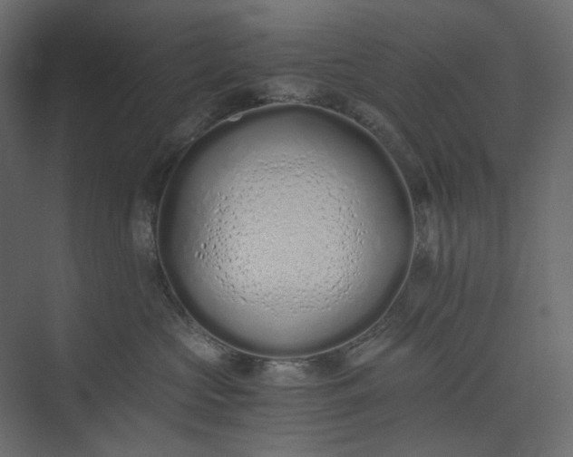 X0000073900573200608251500