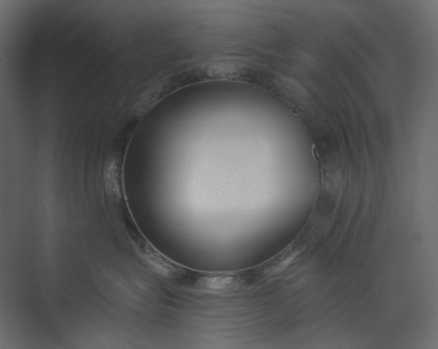 X0000073900575200608251500