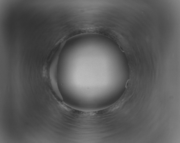 X0000073900576200608251500