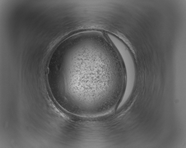 X0000073900577200608251459