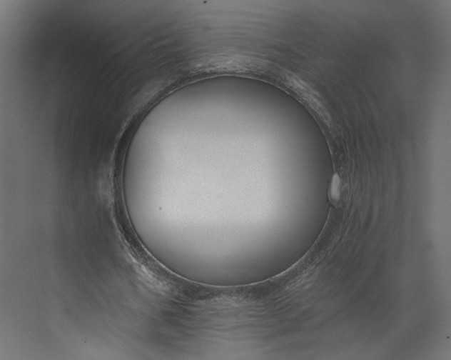 X0000073900578200608251459