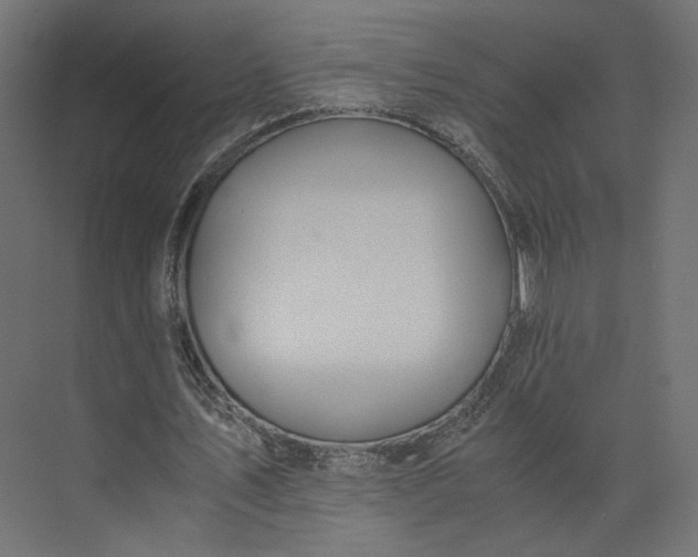 X0000073900579200608251459