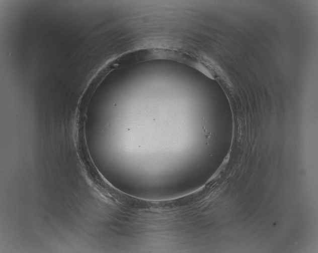 X0000073900580200608251459