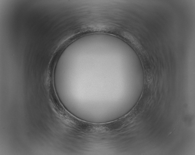 X0000073900583200608251459