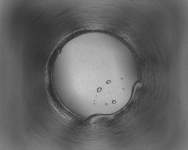 X0000073900584200608251459