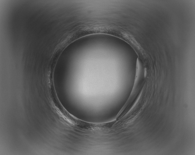 X0000073900585200608251459