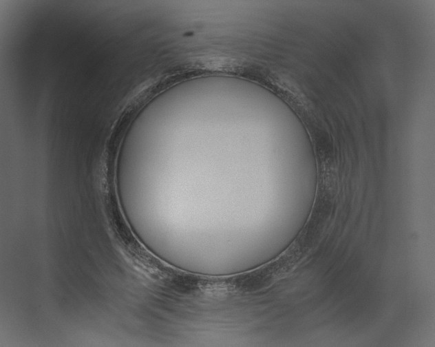 X0000073900587200608251459