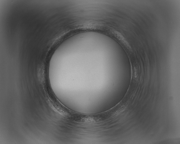 X0000073900588200608251459