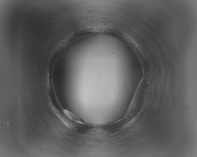 X0000073900589200608251459