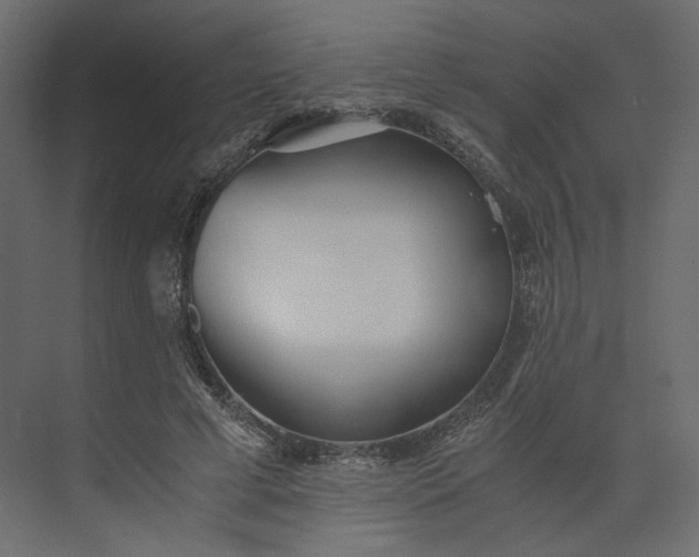 X0000073900593200608251459