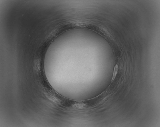 X0000073900595200608251459