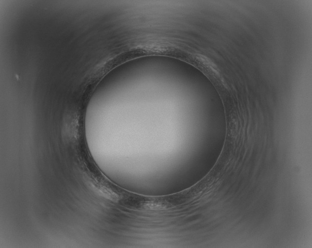 X0000073900596200608251459