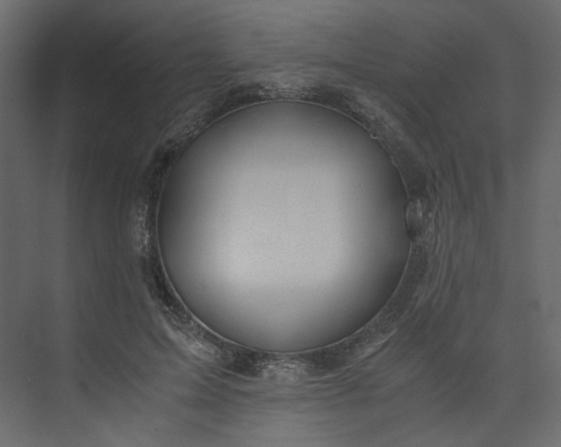 X0000073900599200608251459