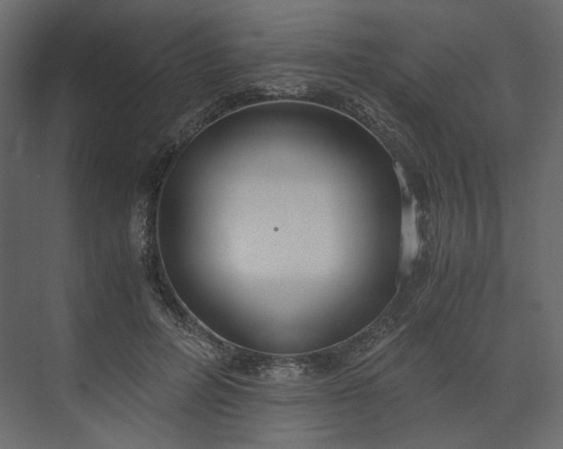 X0000073900600200608251459