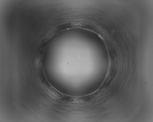 X0000073900601200608251459