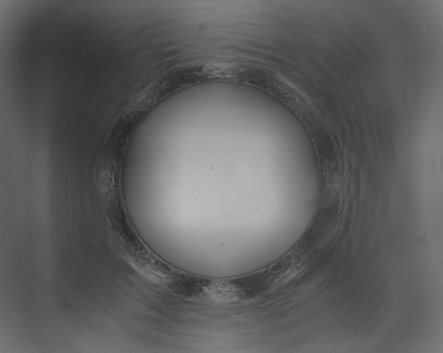 X0000073900603200608251459